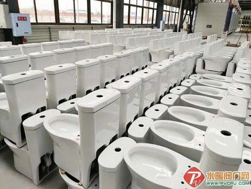 永川帝王潔具 “帝王速度”打造全國最大智能馬桶工廠，推動配件產業升級