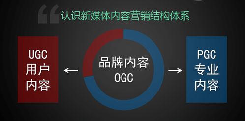 學(xué)習(xí)新媒體運(yùn)營，把握互聯(lián)網(wǎng)銷售新機(jī)遇
