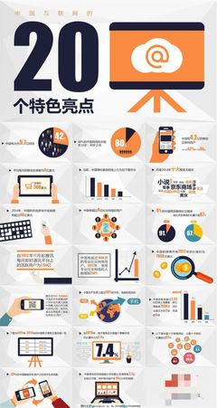 中國互聯(lián)網(wǎng)的20個特色亮點(diǎn)